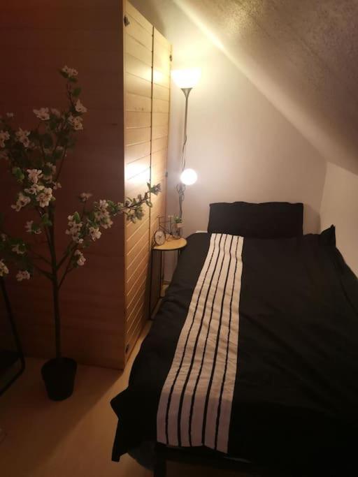 Wohnung Am Kurpark Mit Privater Innensauna & Led! Schluesselbox Boppard Extérieur photo